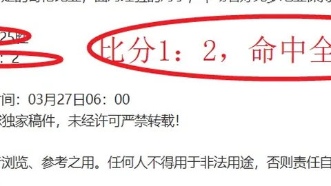 大乐透期号专家推荐：拉查布里府质合分析前区十码精准预测